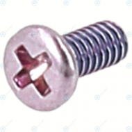 Sony Screw 1.2x2.9 1313-3372