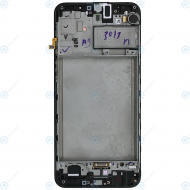 Samsung Galaxy M30s (SM-M307F) Display unit complete GH82-21265A_image-2