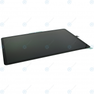 Samsung Galaxy Tab S9 (SM-X710, SM-X716) Display module LCD + Digitizer GH82-31769A