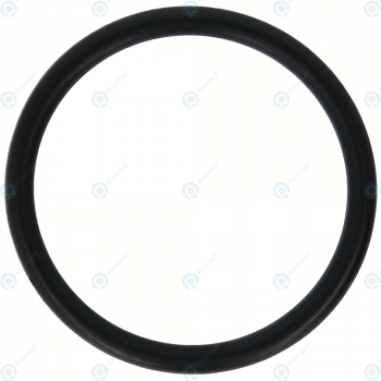 Krups Seal ring for piston  MS-0698568