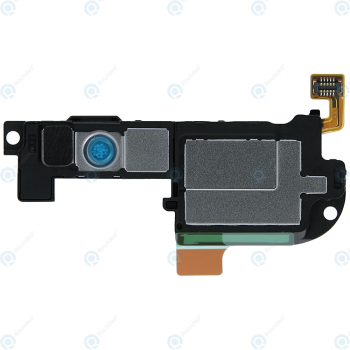 Huawei P40 (ANA-LNX9 ANA-LX4) Loudspeaker module 22020400