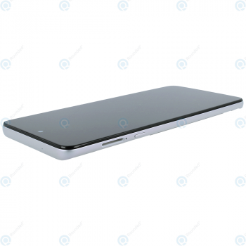 Motorola Moto G 5G (XT2113) Display unit complete frosted silver 5D68C17747 5D68C17617_image-4