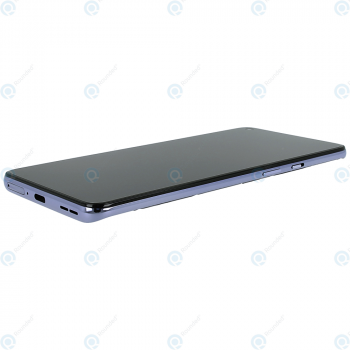 OnePlus 9 (LE2113) Display unit complete winter mist 1001100054_image-1