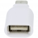 LG USB type-C to micro-USB B OTG adapter black EBX63212002-A EBX63212002-A image-4