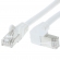 FTP CAT6 network cable 0.5 meter Type: S/FTP CAT6. Wires: AWG 27/7. Connector 1: RJ45 Male. Connector 2: RJ45 Male. Length: 0.5 meter. Color: White. Halogen free: No. Extra: 1x Right angle cable.