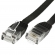 UTP CAT6 network cable 5 meter Type: U/UTP CAT6. Connector 1: RJ45 Male. Connector 2: RJ45 Male. Length: 0.5 meter. Color: Black. Halogen free: No.