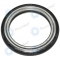 Philips Senseo Sarista (HD8030, HD8030/60) Seal ring lower 996530011183